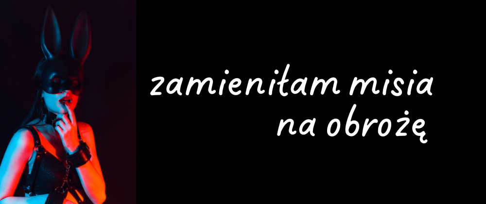 Cover image for "Zamieniłam misia na obrożę"