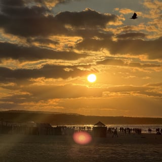 Martyna Grad profile picture