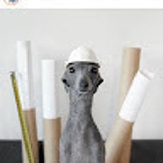 Klaudia Krętuś profile picture